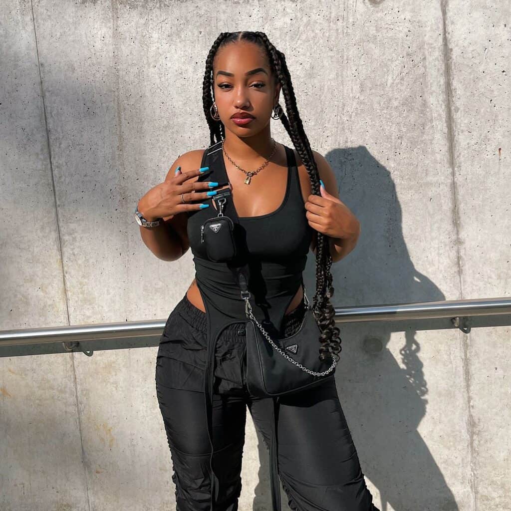 @sileyls Knotless Braids 2